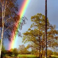 regenbogen.webp